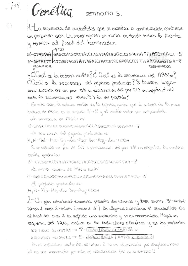 Miniatura del documento geneticaSem3.pdf