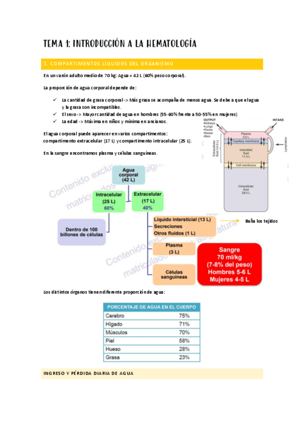 Miniatura del documento TEMARIO-PRIMER-PARCIAL-FISIO-II.pdf