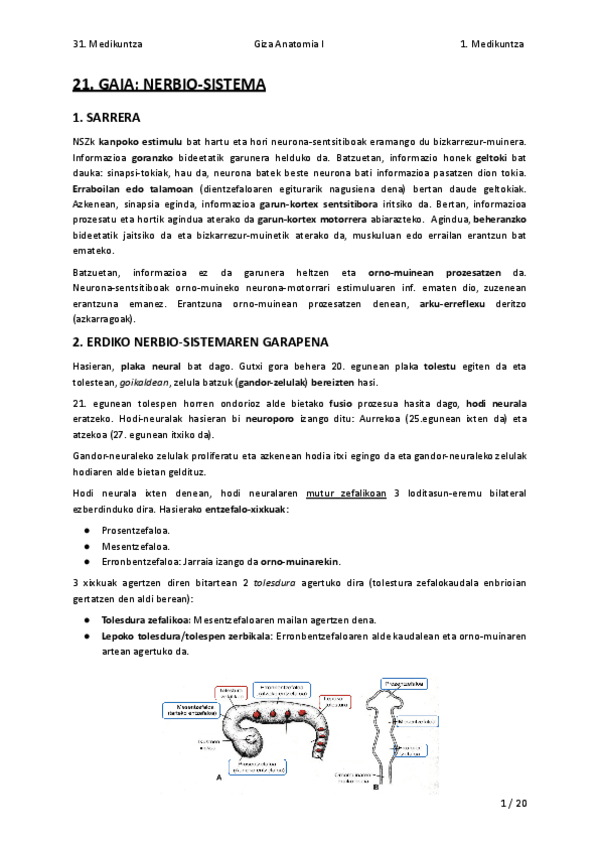 Miniatura del documento T21.-NERBIO-SISTEMA.pdf