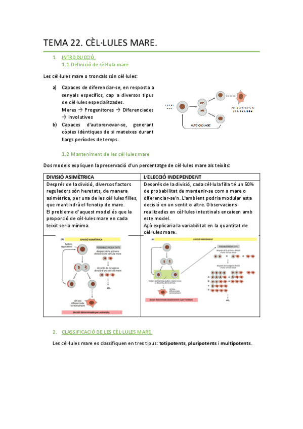 Miniatura del documento TEMA-22-CELLULES-MARE.pdf