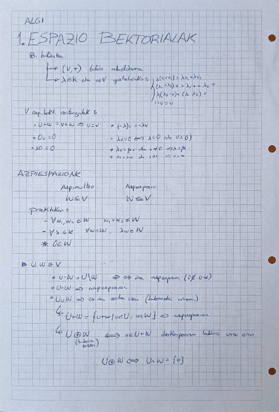 Miniatura del documento ALGI-apuntes-1-Cuatri-Euskera.pdf