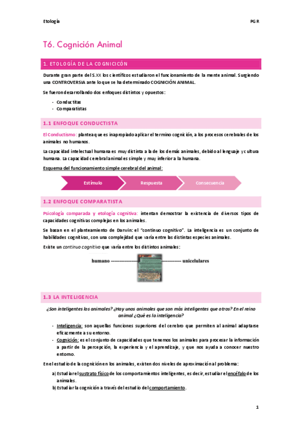 Miniatura del documento T6.-Cognicion-Animal.pdf