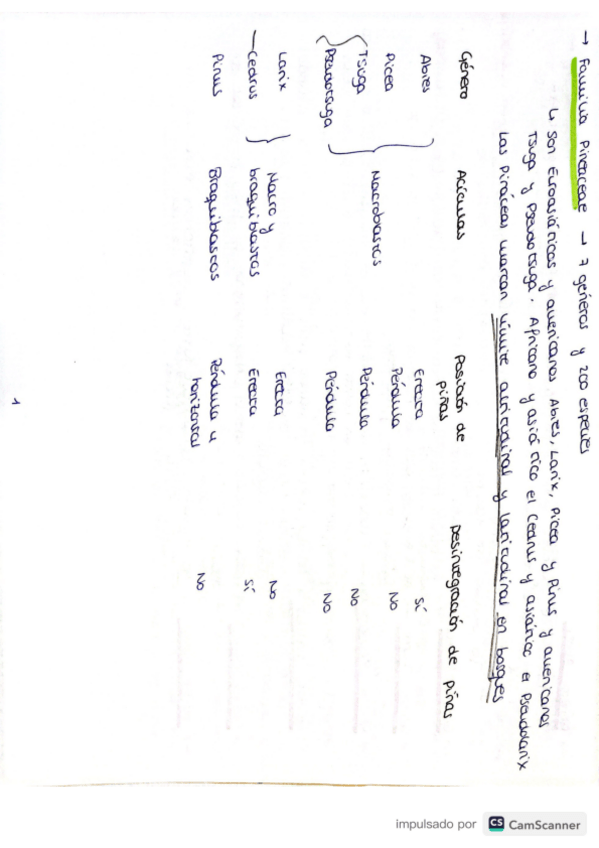 Miniatura del documento Tema-10-botanica-forestal.pdf