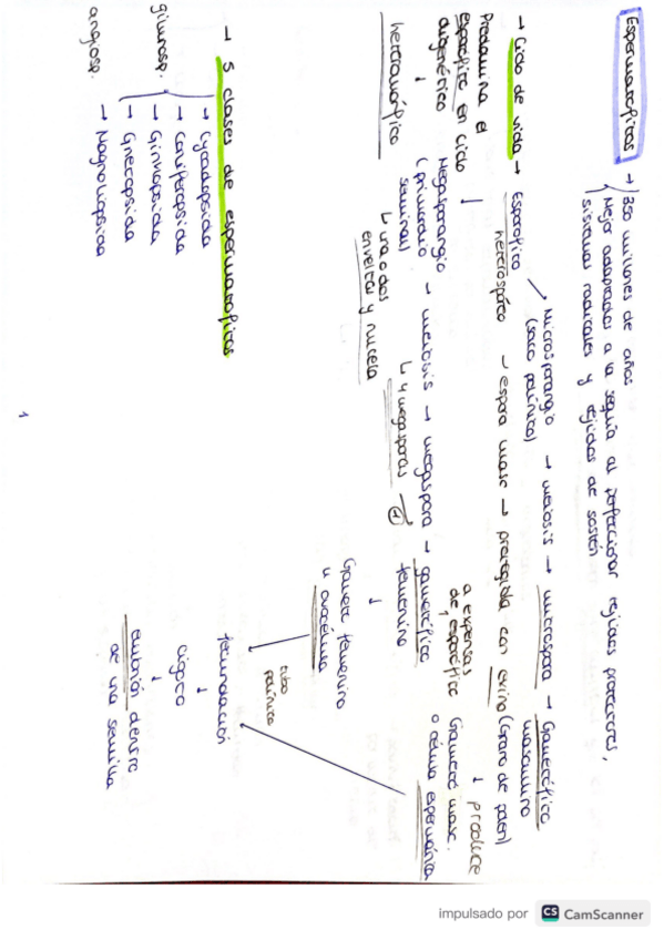 Miniatura del documento Tema-8-botanica-forestal.pdf