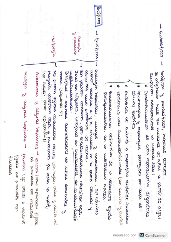 Miniatura del documento Tema-6-botanica-forestal.pdf