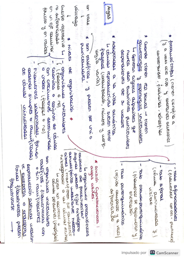 Miniatura del documento Tema-5-botanica-forestal.pdf