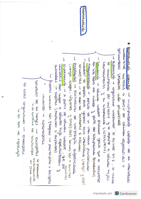 Miniatura del documento Tema-3-botanica-forestal.pdf