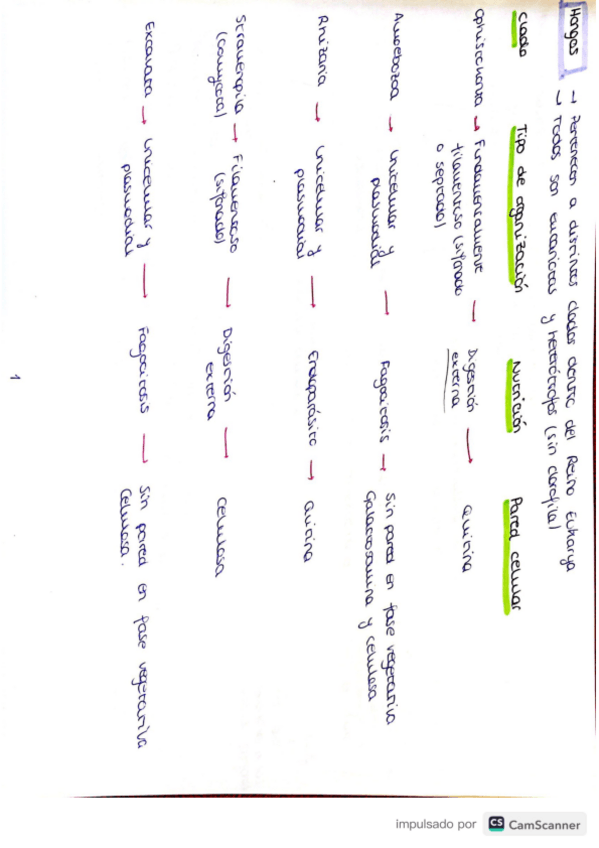 Miniatura del documento Tema-4-botanica-forestal.pdf