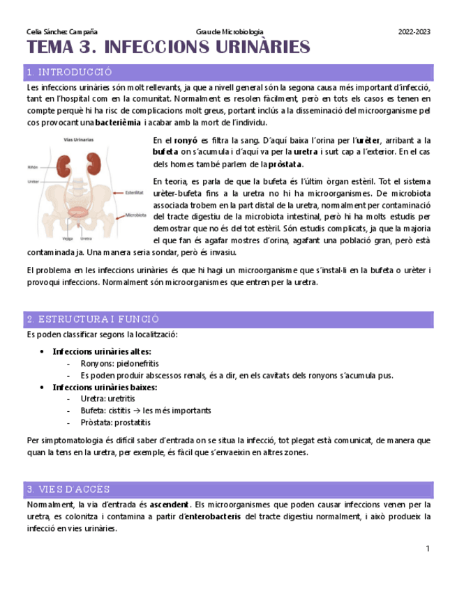 Miniatura del documento Tema-3.-Infeccions-urinaries.pdf