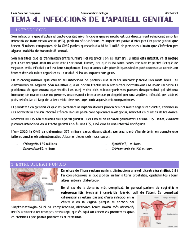 Miniatura del documento Tema-4.-Infeccions-del-aparell-genital.pdf