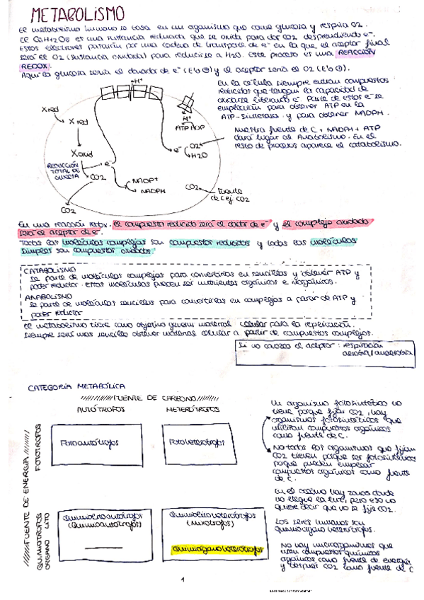 Miniatura del documento T3Metabolismo.pdf