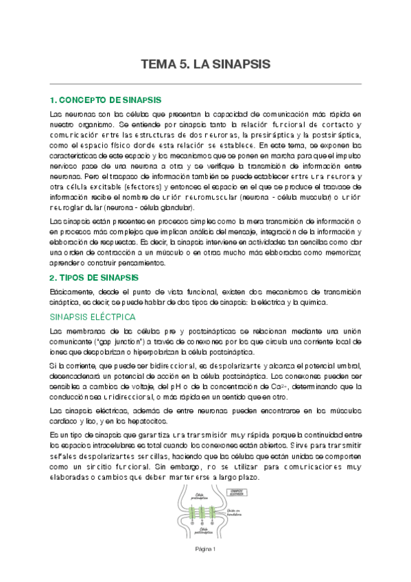 Miniatura del documento Tema-5.pdf