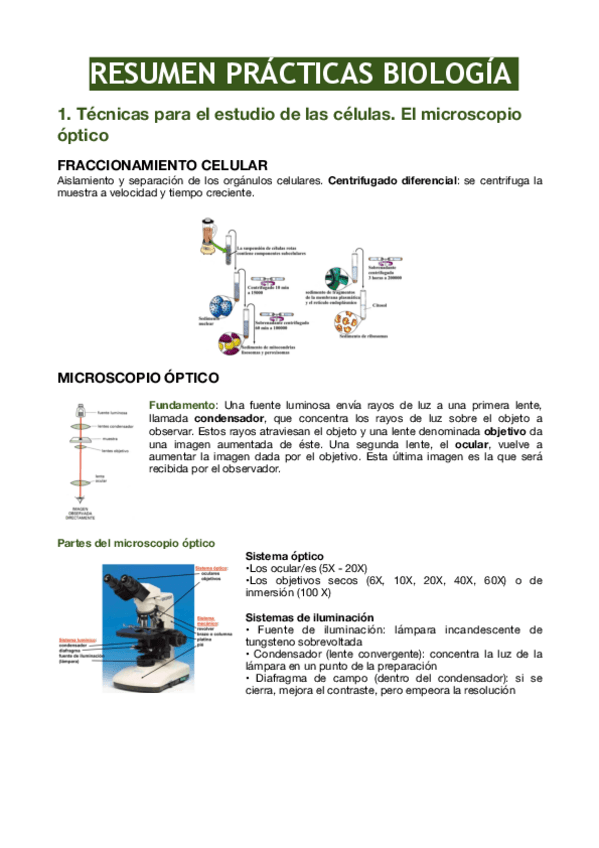 Miniatura del documento Resumen-practicas-biologia.pdf