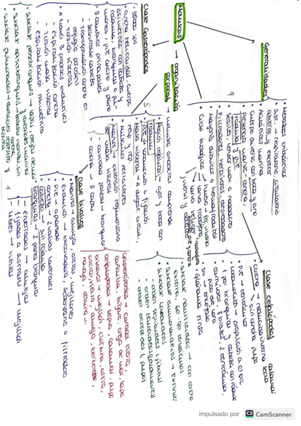Miniatura del documento Moluscos-y-equinodermoszoologia.pdf