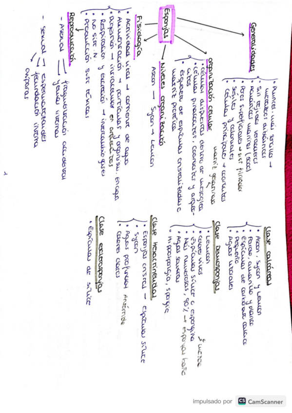 Miniatura del documento Tema-2zoologia.pdf