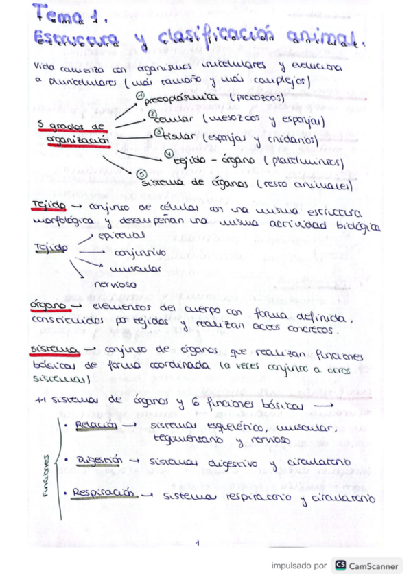 Miniatura del documento Tema-1zoologia.pdf