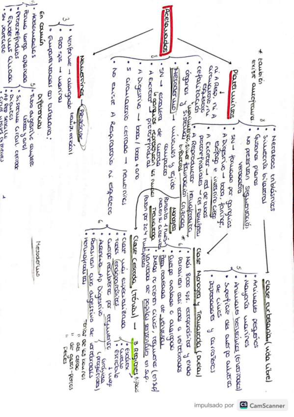 Miniatura del documento Tema-3zoologia.pdf