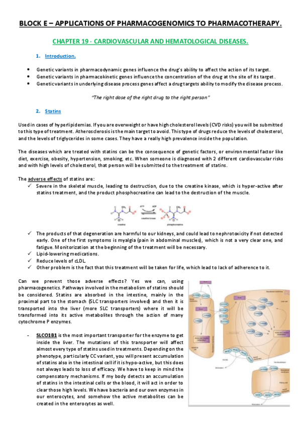 Miniatura del documento Lesson 19.pdf