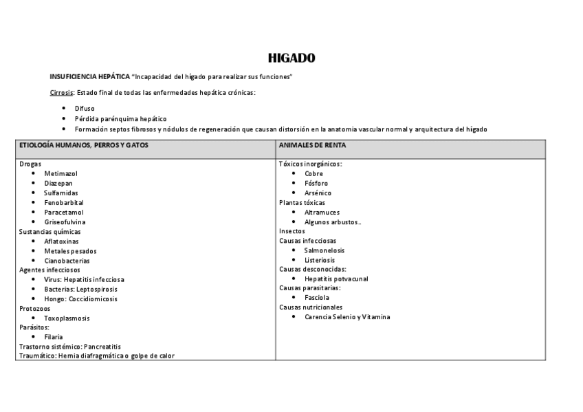 Miniatura del documento HIGADO-Resumen.pdf