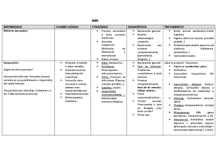 Miniatura del documento OJO-resumen.pdf