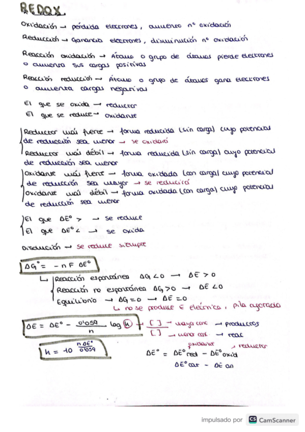 Miniatura del documento Redox.pdf