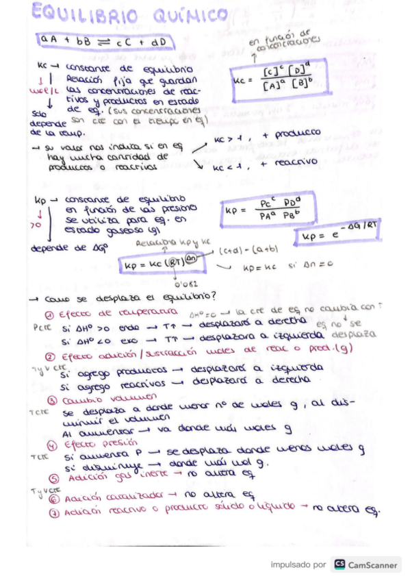 Miniatura del documento Equilibrio-quimico.pdf