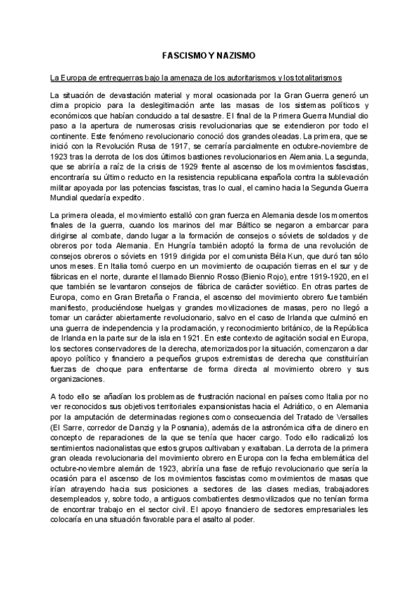 Miniatura del documento Teoria-de-Historia-Fascismo-y-Nazismo.pdf