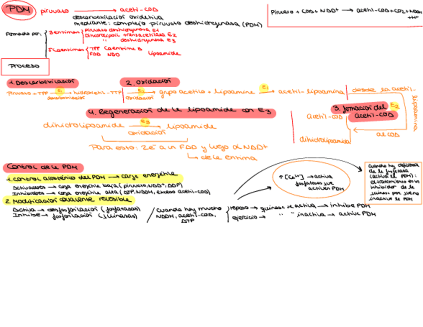 Miniatura del documento PDH.pdf