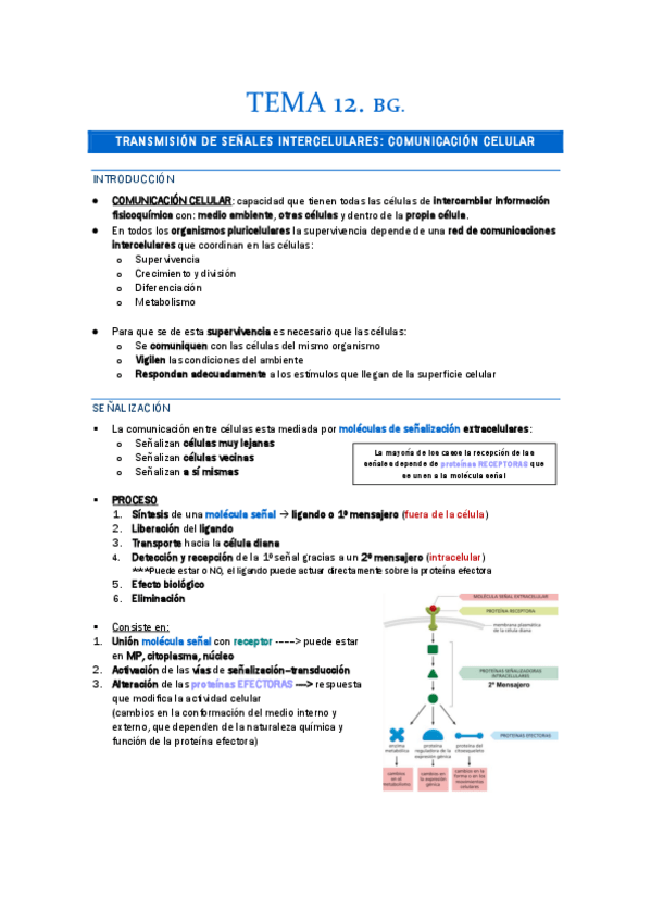 Miniatura del documento TEMA-12.-BG.-SENALIZACION-CELULAR.pdf