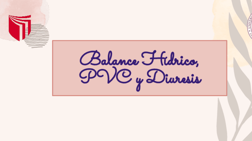 Miniatura del documento BALANCE-HIDRICO-PRESION-VENOSA-CENTRAL-Y-DIURESIS.pdf