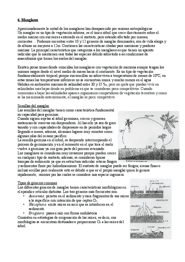 Miniatura del documento T6.-Manglares.pdf