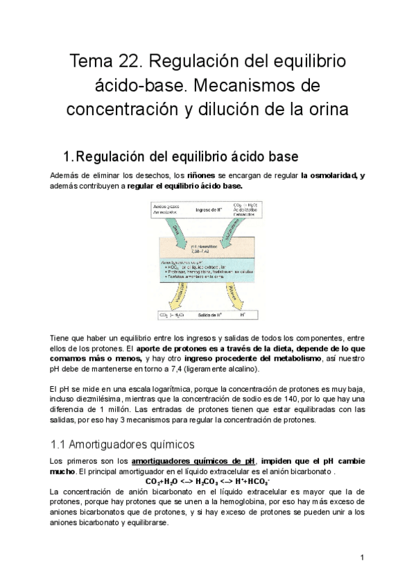 Miniatura del documento Tema-22.-Regulacion-del-equilibrio-acido-base.-Mecanismos-de-concentracion-y-dilucion-de-la-orina.pdf