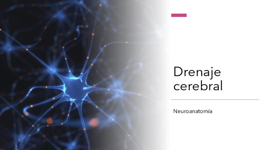 Miniatura del documento drenaje-cerebral.pdf