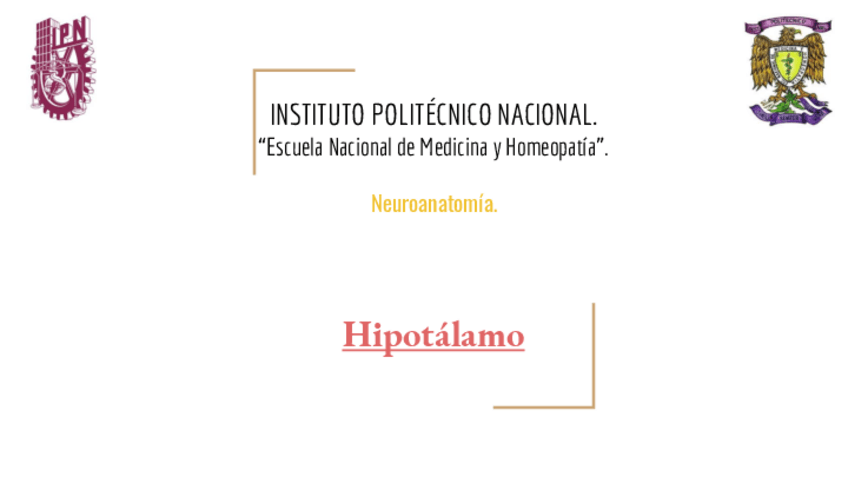 Miniatura del documento hipotalamo.pdf