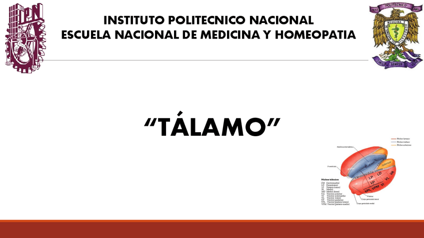 Miniatura del documento Talamo.pdf