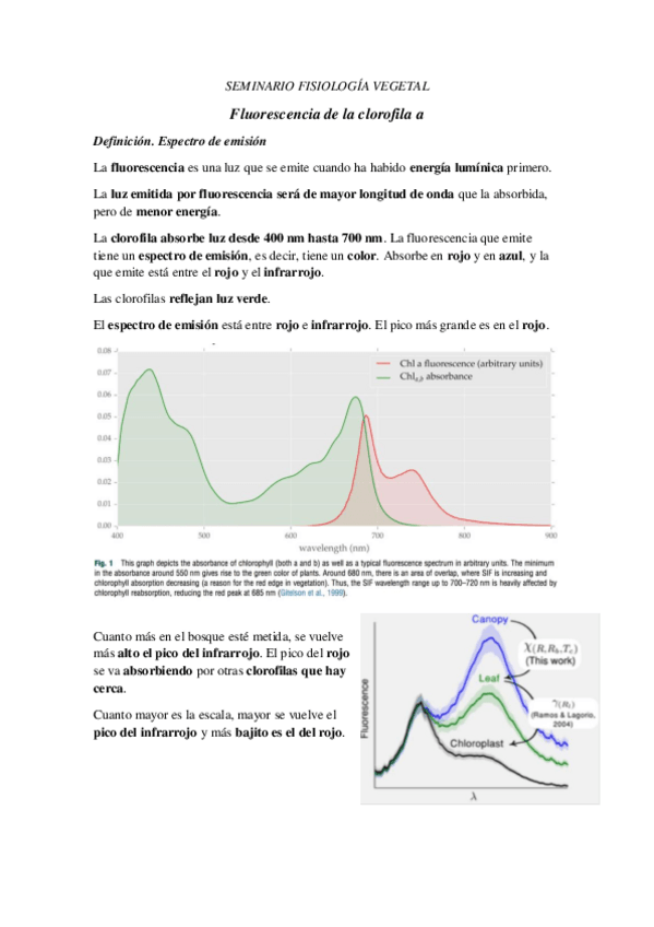 Miniatura del documento Seminario-Fluorescencia.pdf