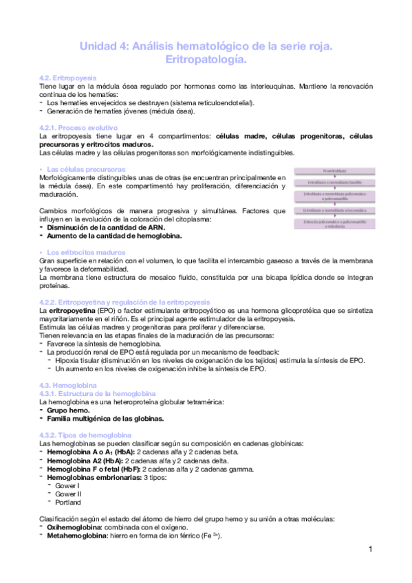 Miniatura del documento Unidad-4-Analisis-hematologico-de-la-serie-roja.-Eritropatologia..pdf