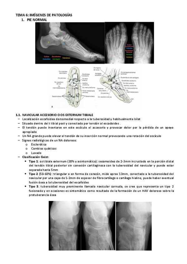 Miniatura del documento radiodiagnostico-P2.pdf