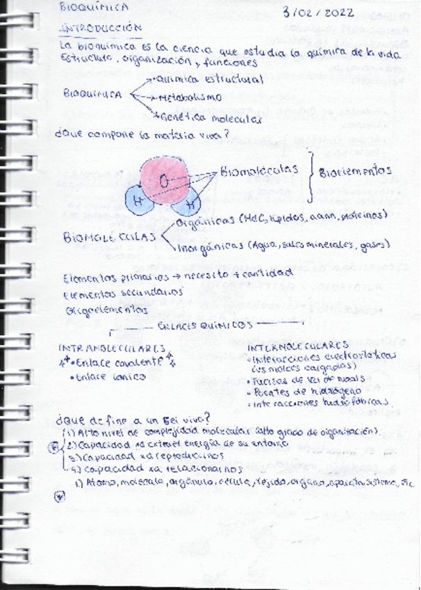 Miniatura del documento Introduccion-a-la-bioquimica-1.pdf