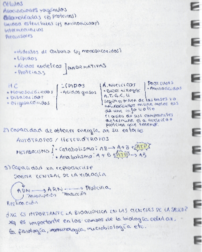 Miniatura del documento Introduccion-a-la-bioquimica-2.pdf