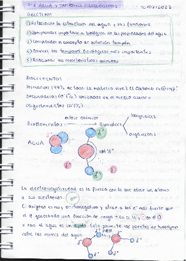 Miniatura del documento Pag-1-El-agua-y-los-tampones-fisiologicos.pdf