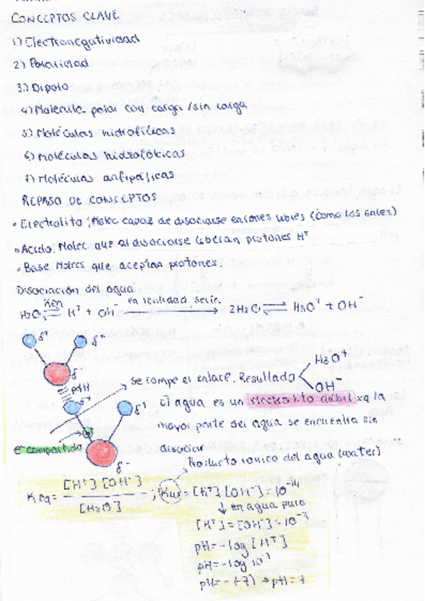 Miniatura del documento Pag-4-y-5-El-agua-y-los-tampones-fisiologicos.pdf