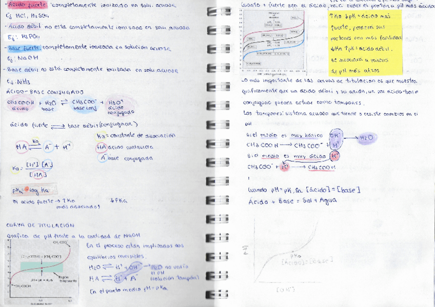 Miniatura del documento Pag-6-y-7-El-agua-y-los-tampones-fisiologicos.pdf