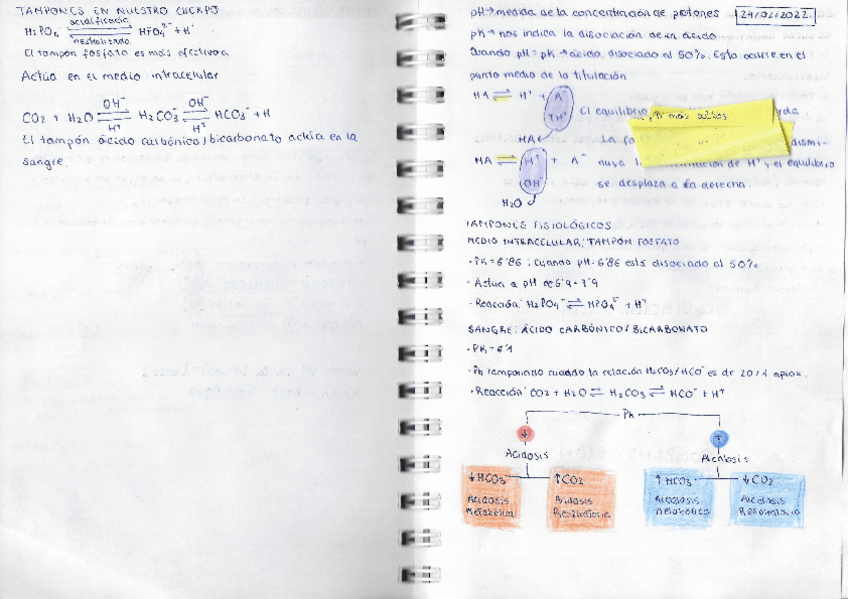 Miniatura del documento Pag-8-y-9-El-agua-y-los-tampones-fisiologicos.pdf