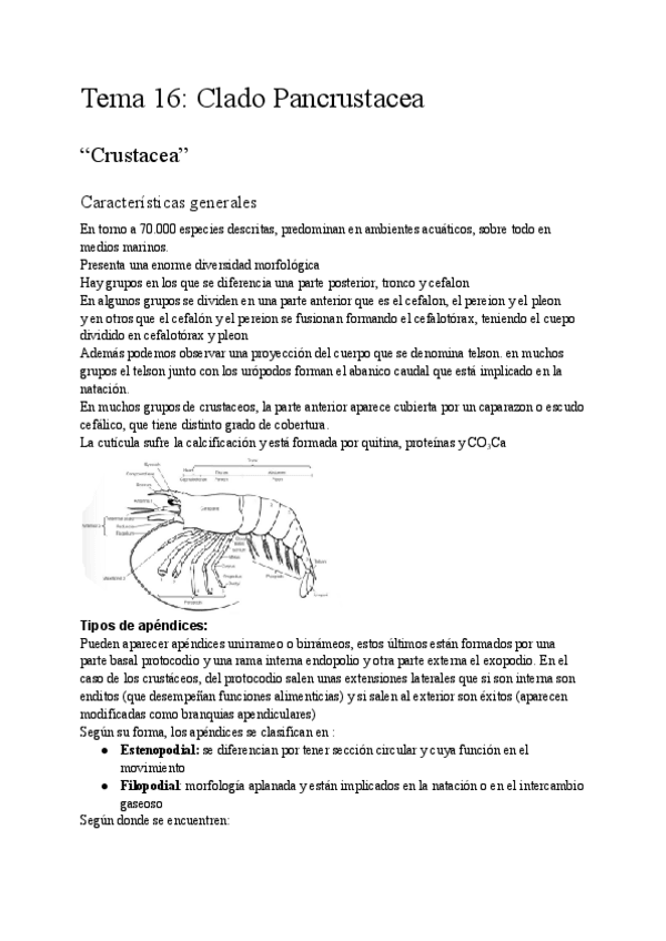 Miniatura del documento Zoologia-Tema-16.pdf