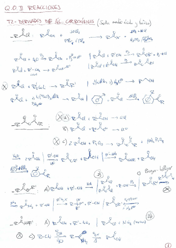 Miniatura del documento Reacciones Orgánica II.pdf