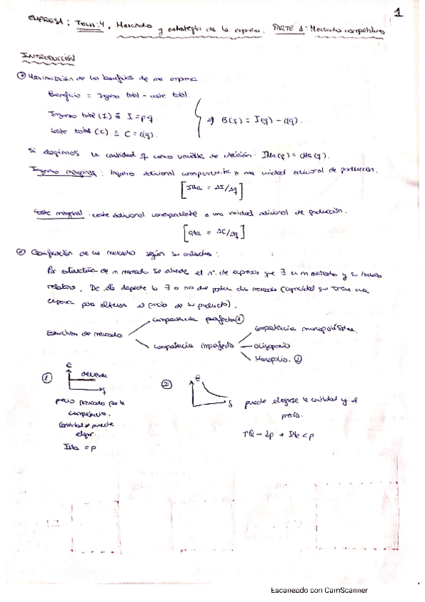 Miniatura del documento tema-4-p.1-mercado-competitivo.pdf