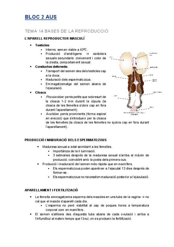 Miniatura del documento BLOC-2-AUS.pdf