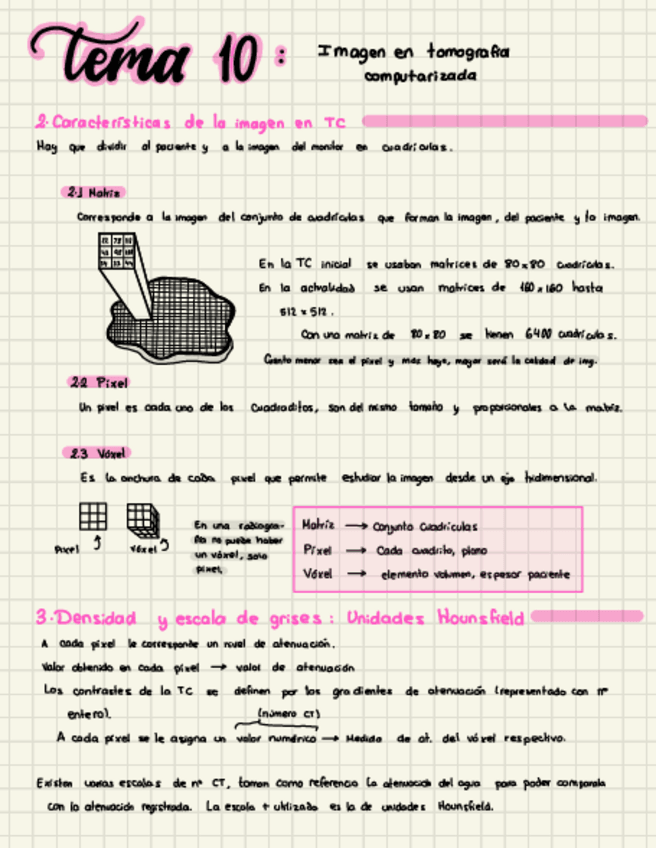 Miniatura del documento T-10-Imagen-En-Tc.pdf