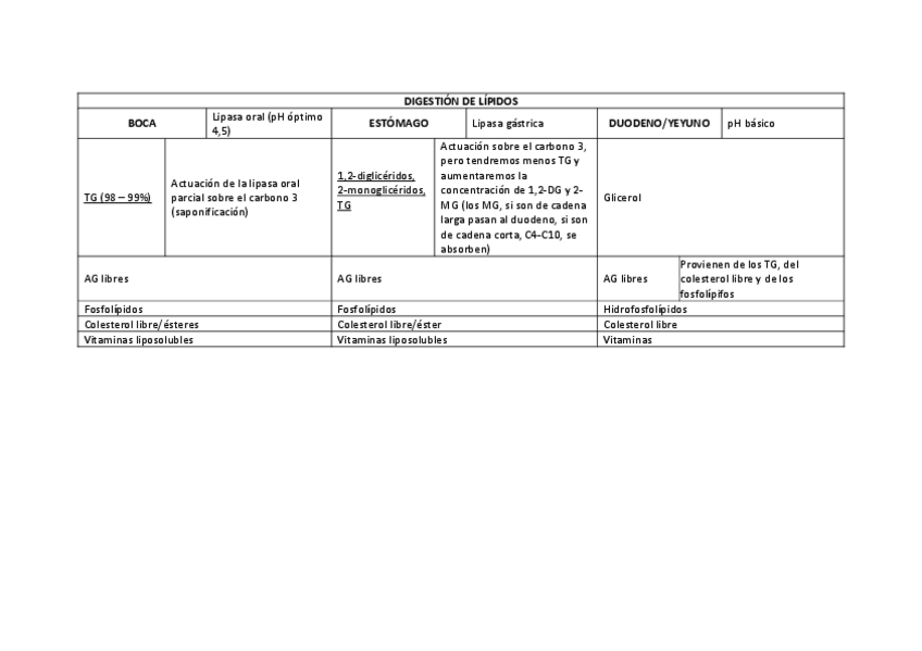 Miniatura del documento Digestión de lipidos.pdf